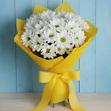 Букет цветов из:  Хризантемы в Волчанске