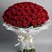Букет 101 Красная роза Блэк Мэджик в Волчанске