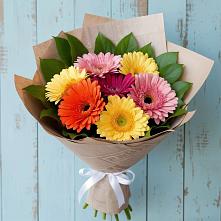 Букет цветов из:  Герберы #REPLACE_PRED# Волчанске