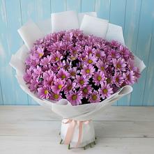 Букет цветов из:  Хризантемы в Волчанске