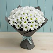Букет цветов из:  Хризантемы в Волчанске