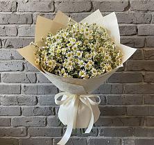 Букет цветов из:  Ромашки #REPLACE_PRED# Волчанске