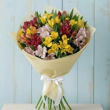 Букет цветов из:  Альстромерии #REPLACE_PRED# Волчанске