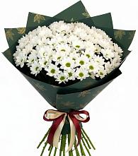 Букет цветов из:  Хризантемы #REPLACE_PRED# Волчанске