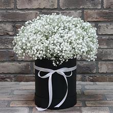 Цветочная композиция из Гипсофила в шляпной коробке в Волчанске