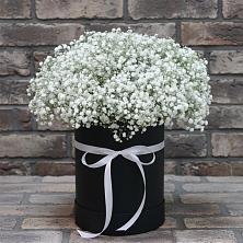 Цветочная композиция из Гипсофила в шляпной коробке в Волчанске