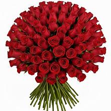 Букет Красные розы Чери Лав в Волчанске