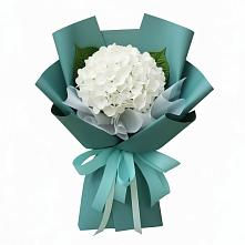 Букет цветов из:  Гортензия в Волчанске